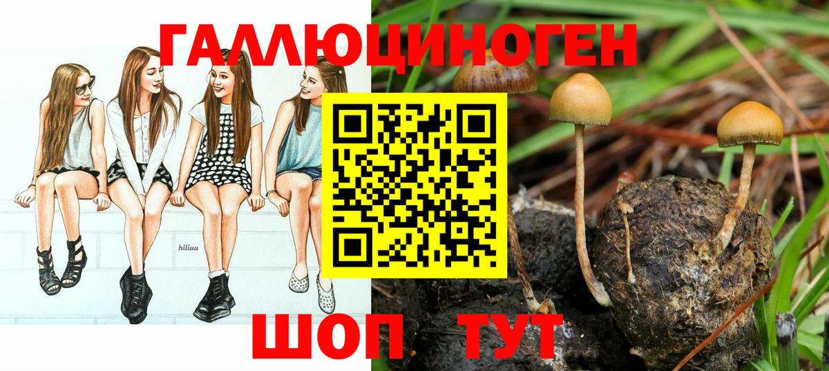 Набережные Челны  купить наркотик  Псилоцибиновые грибы мухоморы  Вход с VPN  Галлюциногенные грибы ЛСД 