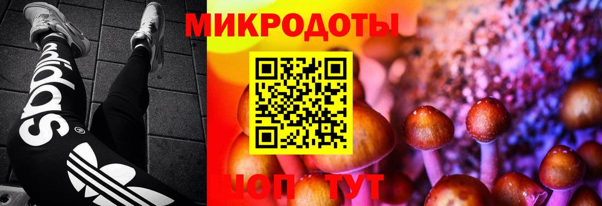 Псилоцибиновые грибы Psilocybe  купить   Набережные Челны  Псилоцибиновые грибы Cubensis 